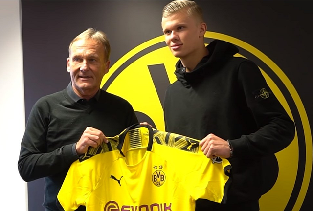 一种成熟的 一种成熟的